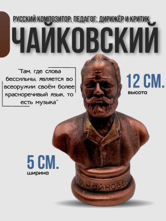 Бюст Чайковский Пётр Ильич 102.54.1 бронза